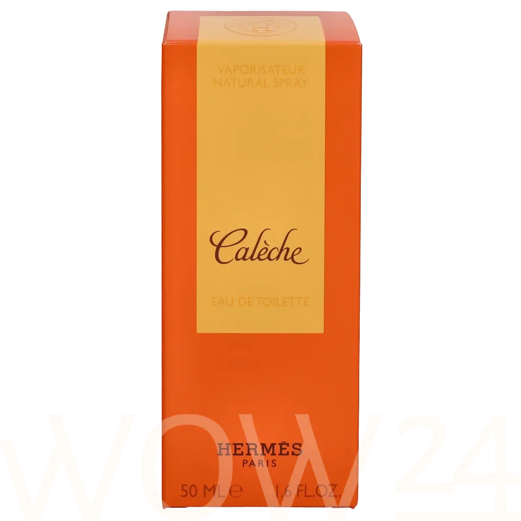 Hermes Caleche thumbnail 2