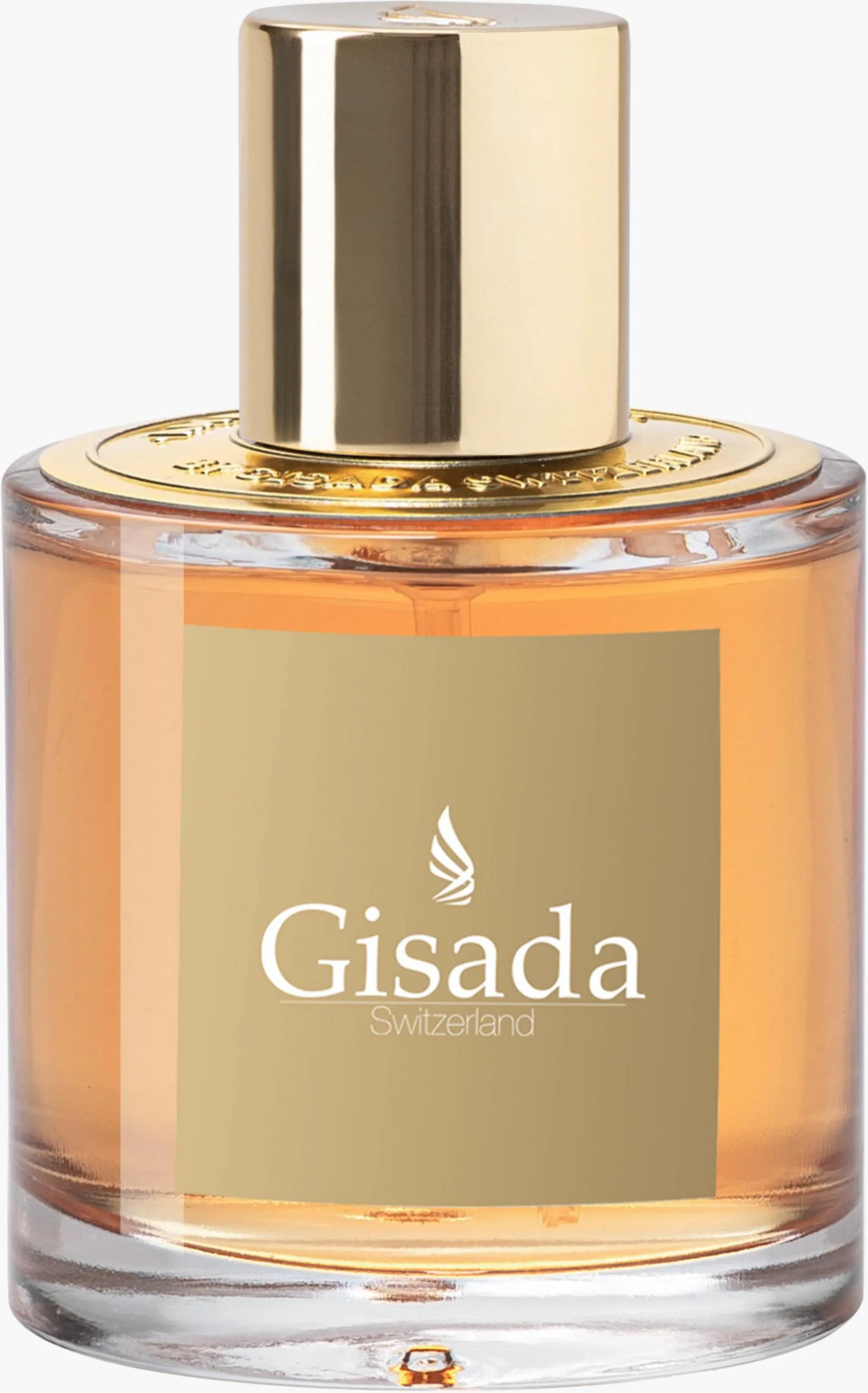Gisada Ambassador Women thumbnail 8