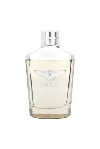 Bentley Infinite thumbnail 2