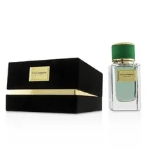 Dolce & Gabbana Velvet Cypress thumbnail 2