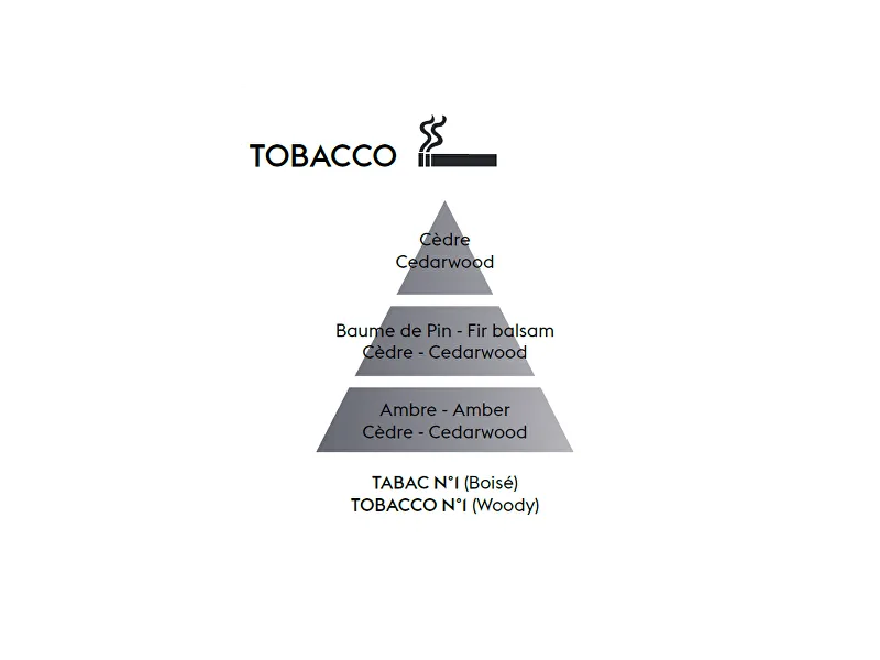 Maison Berger Paris Antiodour Tobacco Car Diffuser Recharge/Refill 2 pcs thumbnail 2