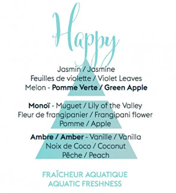 Maison Berger Paris Aroma Happy Aquatic Fresheness Car Diffuser Recharge/Refill 2 pcs thumbnail 2