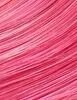 Revolution Rainbow Tones thumbnail 2