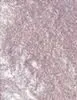 Revolution Eye Light Metallic Eyeshadow thumbnail 2