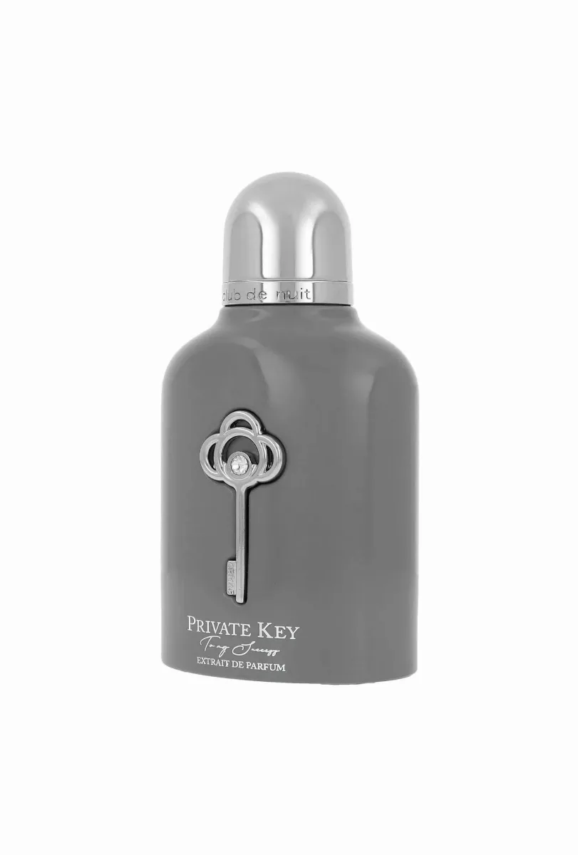 Armaf Beauté Club de nuit private key to my success thumbnail 7