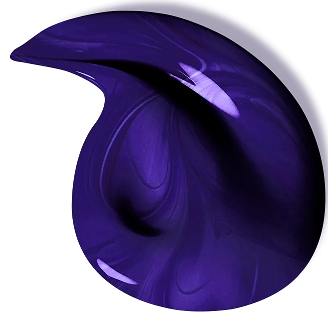 Loreal Elseve Color-Vive Purple Shampoo thumbnail 2