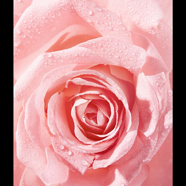 Nivea Rose Touch Waterproof Eye Make-Up Remover thumbnail 3