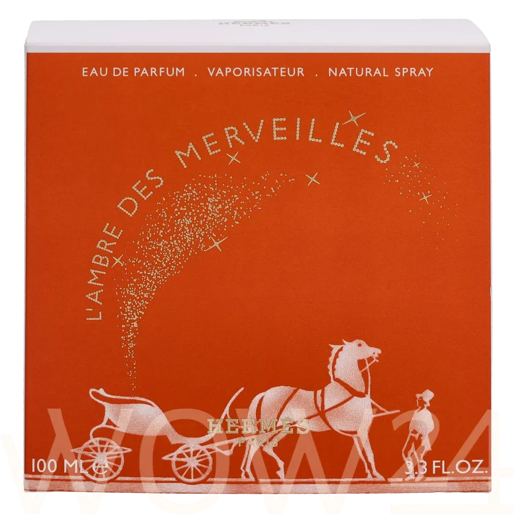 L´ambre des merveilles