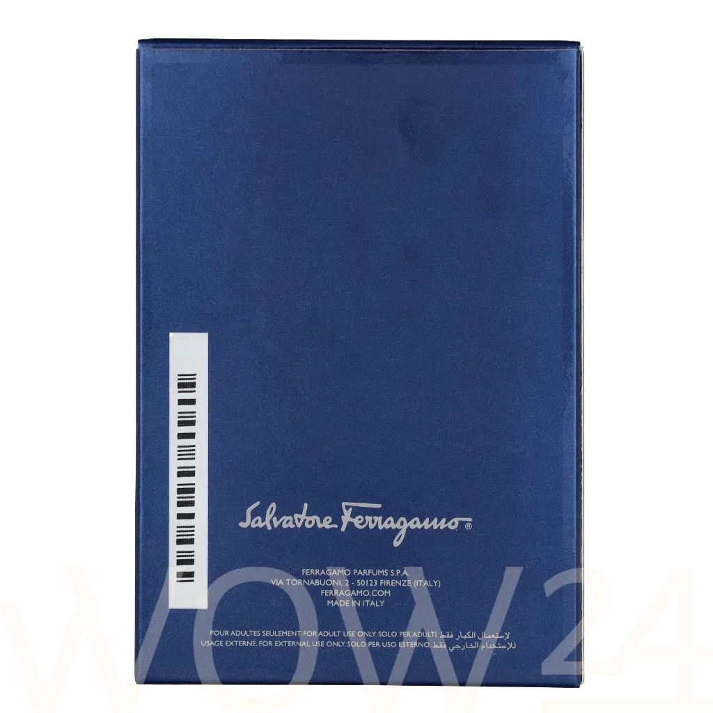 Ferragamo Uomo Urban Feel thumbnail 3