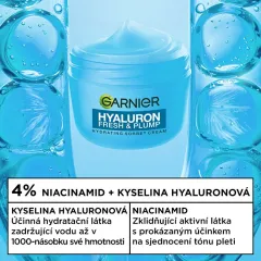 Garnier Hydrating cream Hyaluron Fresh & Plump Sorbet Cream 80 ml thumbnail 2