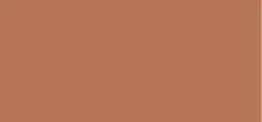Sensai Silk y Bronze waterproof powder ( Natura l Veil Compact) 8.5 g - SC04 Dark thumbnail 3