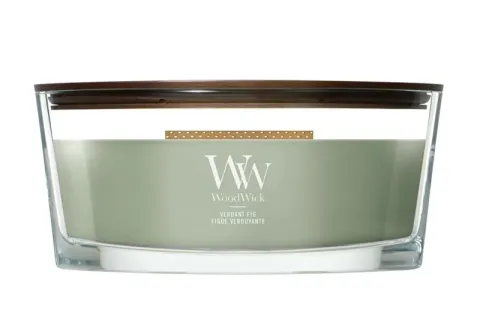 Scented candle ship Verdant Fig 453.6 g