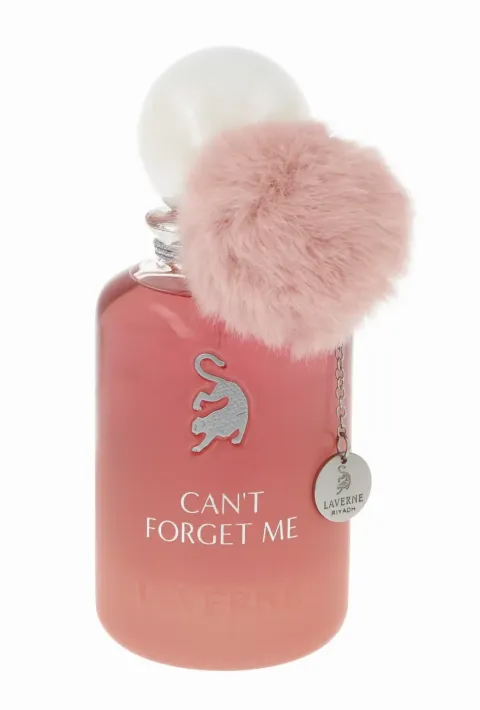 Can`t Forget Me