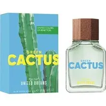 United Dreams Green Cactus