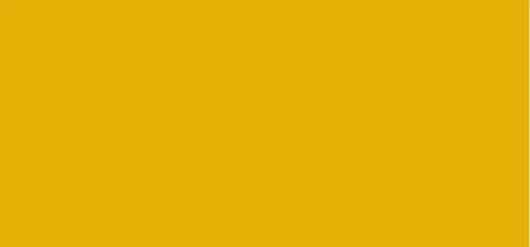Tinted Shampoo (Color Shampoo)