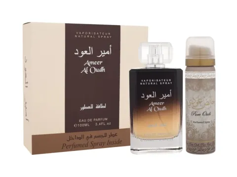 Ameer al oudh