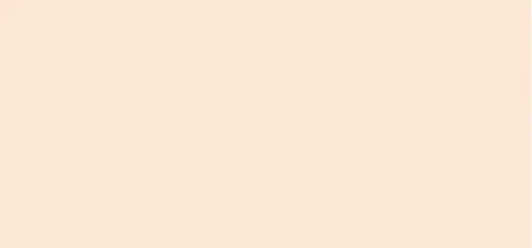 Tinted cream Perfecting Tinted Cream 40 ml - Light