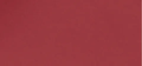 Infaillible Liquid Lipstick (Laque Resistance) 4.3 ml - 412 Rose Affair