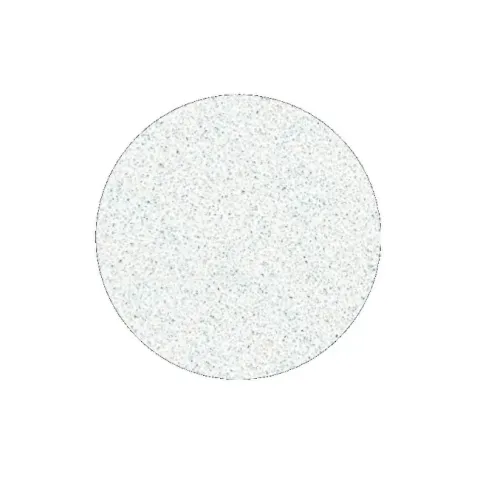 Replacement sandpaper for pedicure disc Pro L, grit 100 (White Refill Pads for Pedicure Disc) 50 pcs.