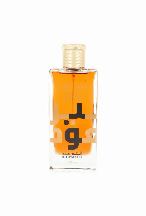 Ameer al oudh intense oud