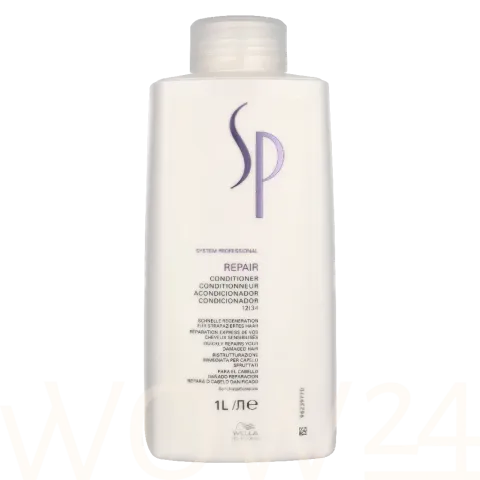 SP Repair