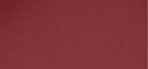 Infaillible Liquid Lipstick (Laque Resistance) 4.3 ml - 625 Midnight Bordeaux