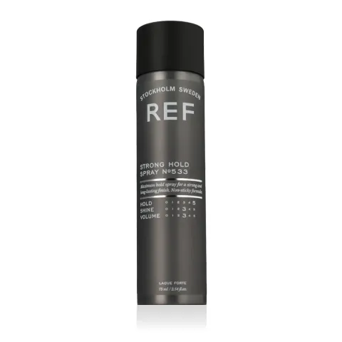 Strong Hold Spray N°533