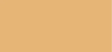 Tinted cream Perfecting Tinted Cream 40 ml - Golden