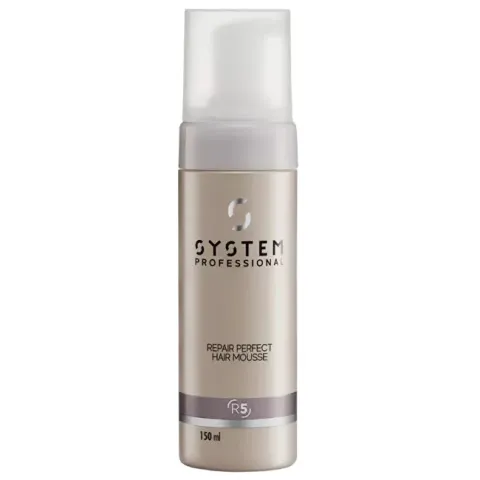 Repair Perfect Hair Mousse