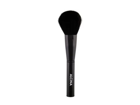Brushes powder brush