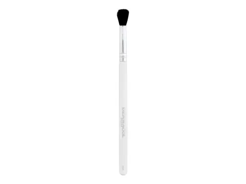 Master Brush Eyeshadow D81