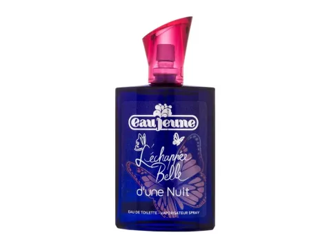 L'Échappée belle d'une nuit
