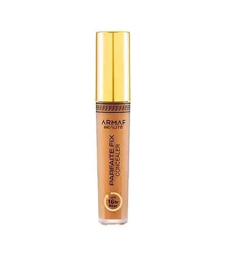 Parfaite Fix Concealer