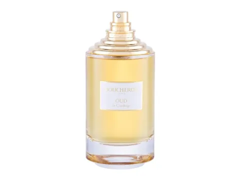 La Collection Oud de Carthage