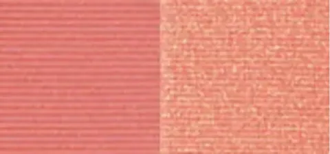 Pupa Extreme Blush Duo Effect Compact Blush