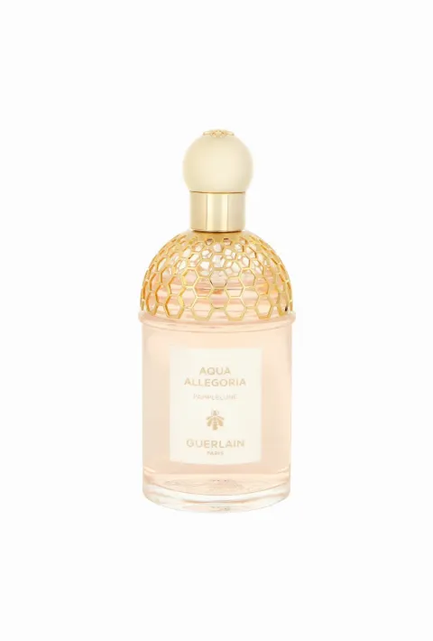 Aqua Allegoria Pamplelune