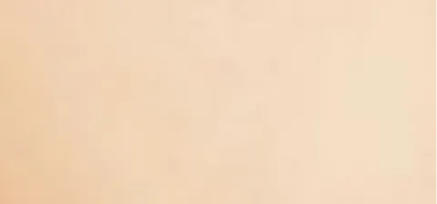 (Anti-Aging Foundation)