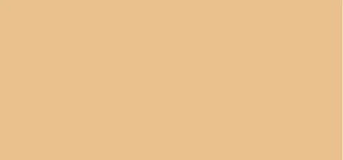 Mattifying makeup Pro Filt`r (Soft Matte Foundation Mini) 12 ml - 110