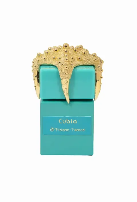 Sea Stars Collection Cubia