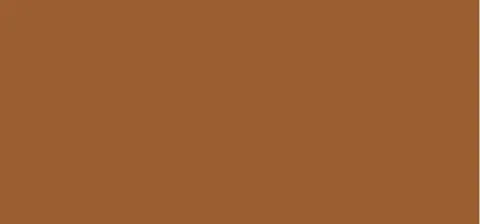 Laura mercier Tinted Moisturizer SPF 20 (Oil Free Natural Skin Perfector) 50 ml - 5N1 Walnut