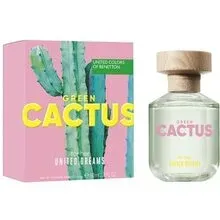 United Dreams Green Cactus