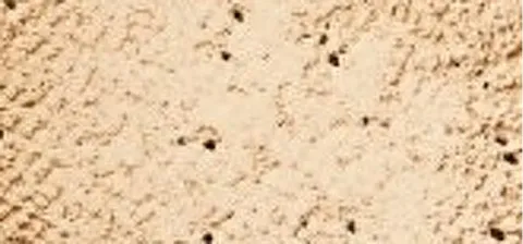 Loose mineral powder makeup SPF 25 (Loose Mineral Foundation) 8 g - Grace