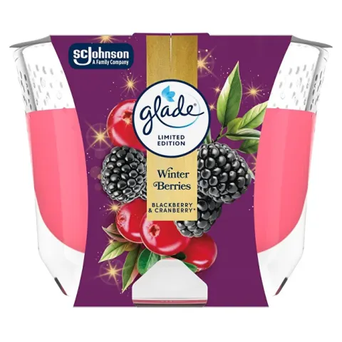 Scented candle Winter Berries