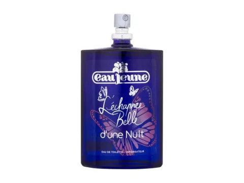 L'Échappée belle d'une nuit