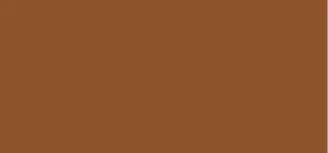 Laura mercier Tinted Moisturizer SPF 20 (Oil Free Natural Skin Perfector) 50 ml - 5N1 Walnut