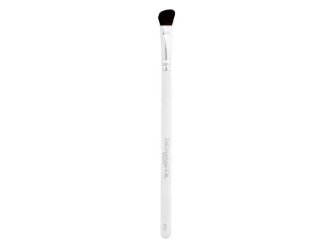 Master Brush Eyeshadow D73