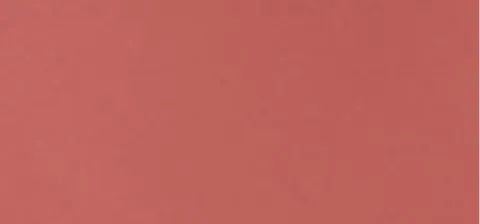 Infaillible Liquid Lipstick (Laque Resistance) 4.3 ml - 213 Smoked Rose