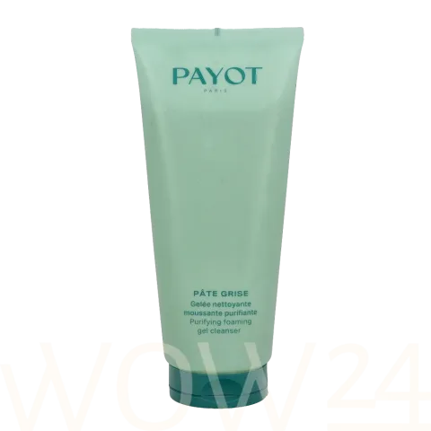 Pate Grise Purifying Foaming Gel Cleanser
