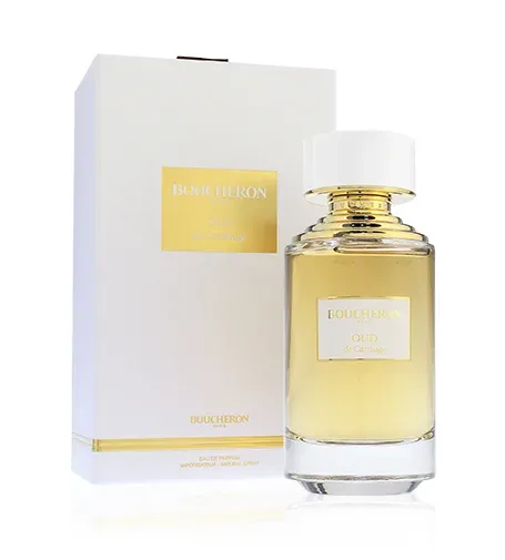 La Collection Oud de Carthage