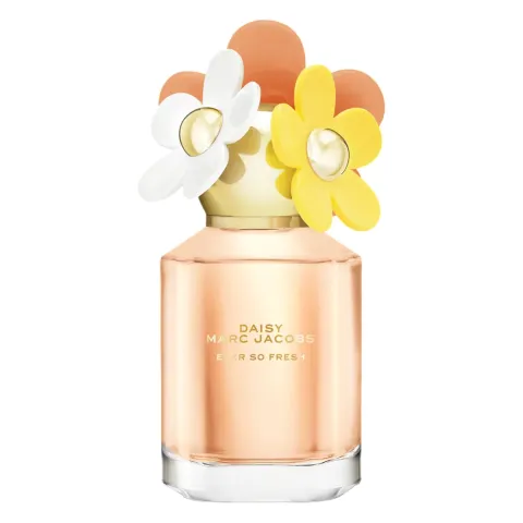 Daisy ever so fresh